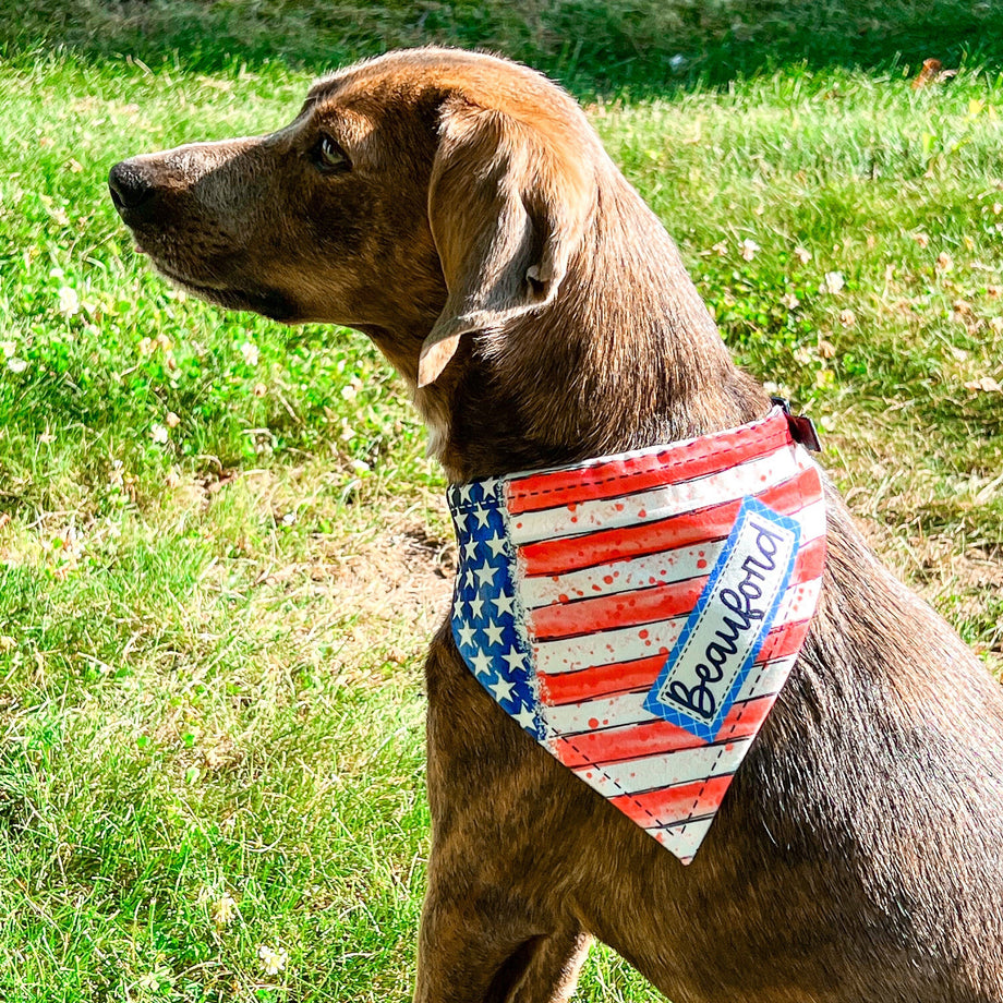 Patriotic Personalized Dog Bandana – Everything Done To A T